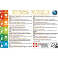Educa - puzzel - Kitten - 200 stukjes