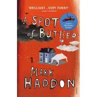 Vintage Uk A spot of bother - Mark Haddon