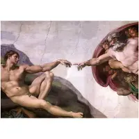 Educa The Creation Of Adam Puzzel 1000 Stukken