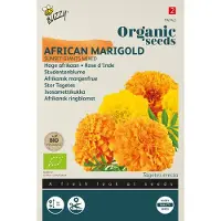Buzzy seeds Zaden afrikaan sunset giants 1 gram