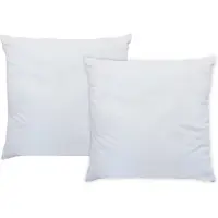DREAMEA Set van 2 ademende hoofdkussens Topcool - 60 x 60 cm - 550 g - Wit - HAELIA