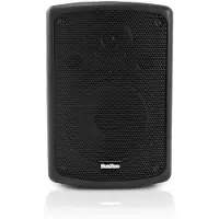SubZero 100W 8" Passive PA Speaker