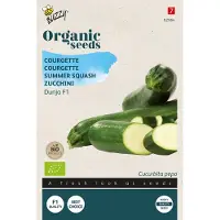 Buzzy Organic Courgette Dunja F1 (BIO)