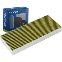 Alapure CleanAir Plus Koolstoffilter voor Gaggenau 11034172 / AA210110