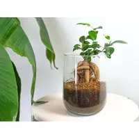 Urbanjngl Vaas Martin - DIY kit - ↑ 17 cm