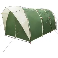 vidaXL Tunneltent Groen 382 x 262 x 214 cm