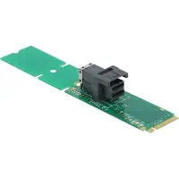 DeLOCK Adapter M.2 Key M to SFF-8643 NVMe 22110 / 2280 / 2260