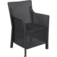 vidaXL Fauteuil Antracietkleurig PP