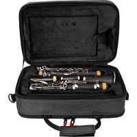 Gator RECTANGULAR CASE FOR BB CLARINET