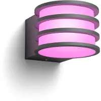 Philips Hue Lucca wandlamp - Tuinverlichting - Antraciet grijs - IP44 Weer- en Windbestendig - Wit en gekleurd licht -Slimme verlichting - 1100 lumen - Compatibel met Matter