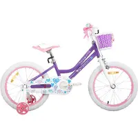 Happiq Meisjesfiets – Voor peuters en kinderen van 2-9 jaar – Met zijwieltjes, mandje, handrem & standaard – Paars, 46 cm