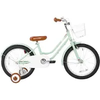 Happiq Kinderfiets – Voor beginners / kinderen – Met mand, spatborden, volledige kettingkoffer en zijwieltjes – Groen, 30 cm