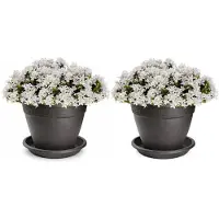 PlasticForte 2x plantenpot met opvang schaal - antraciet - rond - D30 x H23 cm - kunststof - buiten - tuin - bloempot