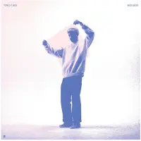 Ginza.se Toro Y Moi - Boo Boo (2 LP)