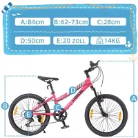 MODFU - Kinderfiets - V-Brakes - Lage Instap - Voor School En Vrije Tijd - Staal - Roze - 20 Inch