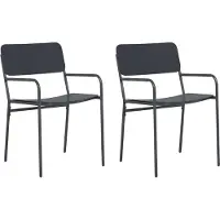 vidaXL Tuinstoelen 2 pcs Antraciet 51 x 55 x 81 cm Staal