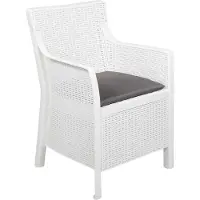 vidaXL Fauteuil Wit PP