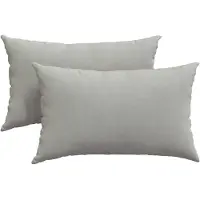 vidaXL Zitkussens 2 st Stof Lichtgrijs 50 x 30 cm
