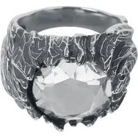 EtNox hard and heavy Ring - Eiszeit - zilverkleurig - Maat 65