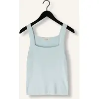 Aaiko Dames Tops & T-shirts Zena Vis 302 - Lichtblauw - Maat XL