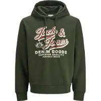 Jack & Jones Logo 2 Col Hoodie