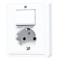 JUNG CD500 Gecombineerde Schakelaar Stopcontact Met Aardcontact - 5576EUWW