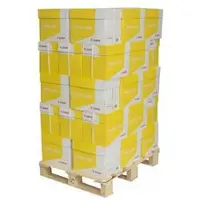 Canon Yellow Label Copy kopieerpapier 1 pallet met 200 pakken van 500 vel A4 - 80 grams