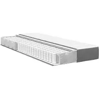 vidaXL Bedmatras met matras Lichtgrijs 100 x 200 cm Stof
