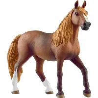 Ginza.se Paardenclub Paso Peruano, merrie