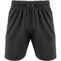 Legea F 7 Shorts Grijs L Man
