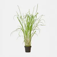 Loberon Decoratieve rietplant Clarisa
