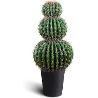 IvoQ Kunst Cactus XL - 85 cm - Grote Kunst Cactus - Onderhoudsvrij - Realistische Look