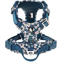 TrueLove - Hondentuigje - Hondenharnas - Blauw/Wit Bloemenpatroon - Reflecterend - Anti-Trek - Kleine Honden - Collectie 2025 - Blauw - S