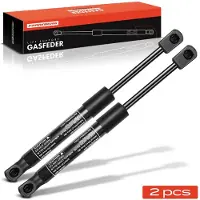 Frankberg 2x Gasveer Klep voor Porsche