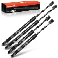 Frankberg 4x Gasveer Achterruit Achterklep voor Fiat