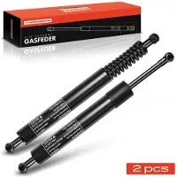 Frankberg 2x Gasveer Klep voor Benz R-Klasse W251 V251 MPV 2006-2014