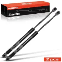 Frankberg 2x Gasveer Klep voor Renault Clio II BB CB Drie-/Vijfdeurs