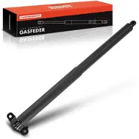 Frankberg 1x gasveer demper achterklep voor Benz M-Klasse W164 SUV