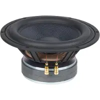 Visaton TIW 250 XS - 8 Ohm 10 inch 25.4 cm Woofer 200 W 8 Ω