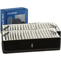 Alapure Koolstoffilter voor Inventum KB80 (2 St.)