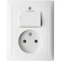 Hager Berker S.1 Polair Wit Wandcontactdoos- en Schakelaarcombinatie - 6143668989
