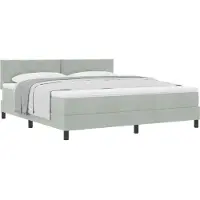 vidaXL Boxspringbed met hoofdeinde, lichtgrijs, 180 x 200 cm, fluweel