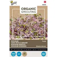 Buzzy - Organic Sprouting Koolrabi rood (BIO)