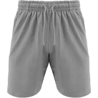 Legea F 7 Shorts Grijs XL Man