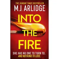 Penguin Random House Into the Fire - M. J. Arlidge