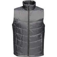 Regatta Heren Stadium Geïsoleerde Bodywarmer (Afdichting Grijs)