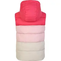 Regatta Kinder/Kinder Jolly Gewatteerd Gilet (Bessenroze/klein Mauve)