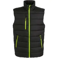 Regatta Thermische bodywarmer Navigate voor heren (Zwart/Lijkgroen)