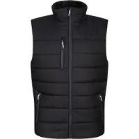 Regatta Thermische bodywarmer Navigate voor heren (Zwart/Seal Grijs)