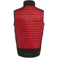 Regatta E-Volve Thermische Hybride Bodywarmer voor volwassenen (Klassiek rood/zwart)
